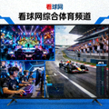看球网综合体育频道包含电竞F1等多元赛事直播画面